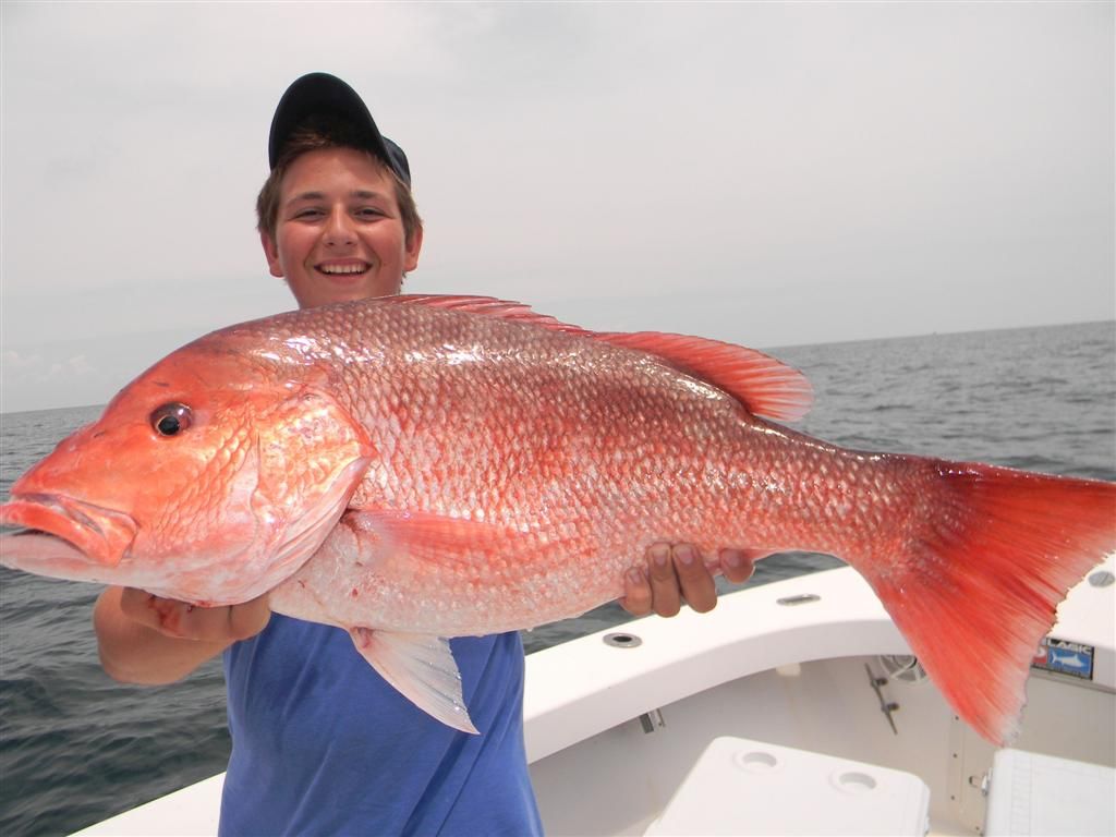 Alabama Offshore Fishing Spots