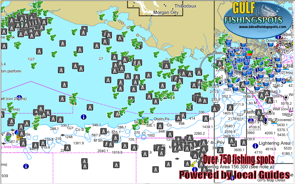 Top Spots Chart - hot fishing spots - Gulf of Mexico with pipeline -  737703002054